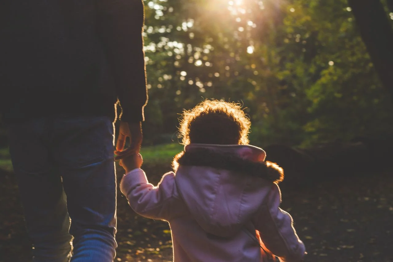 A father and child holding hands, walking through a sunlit forest in a serene moment.